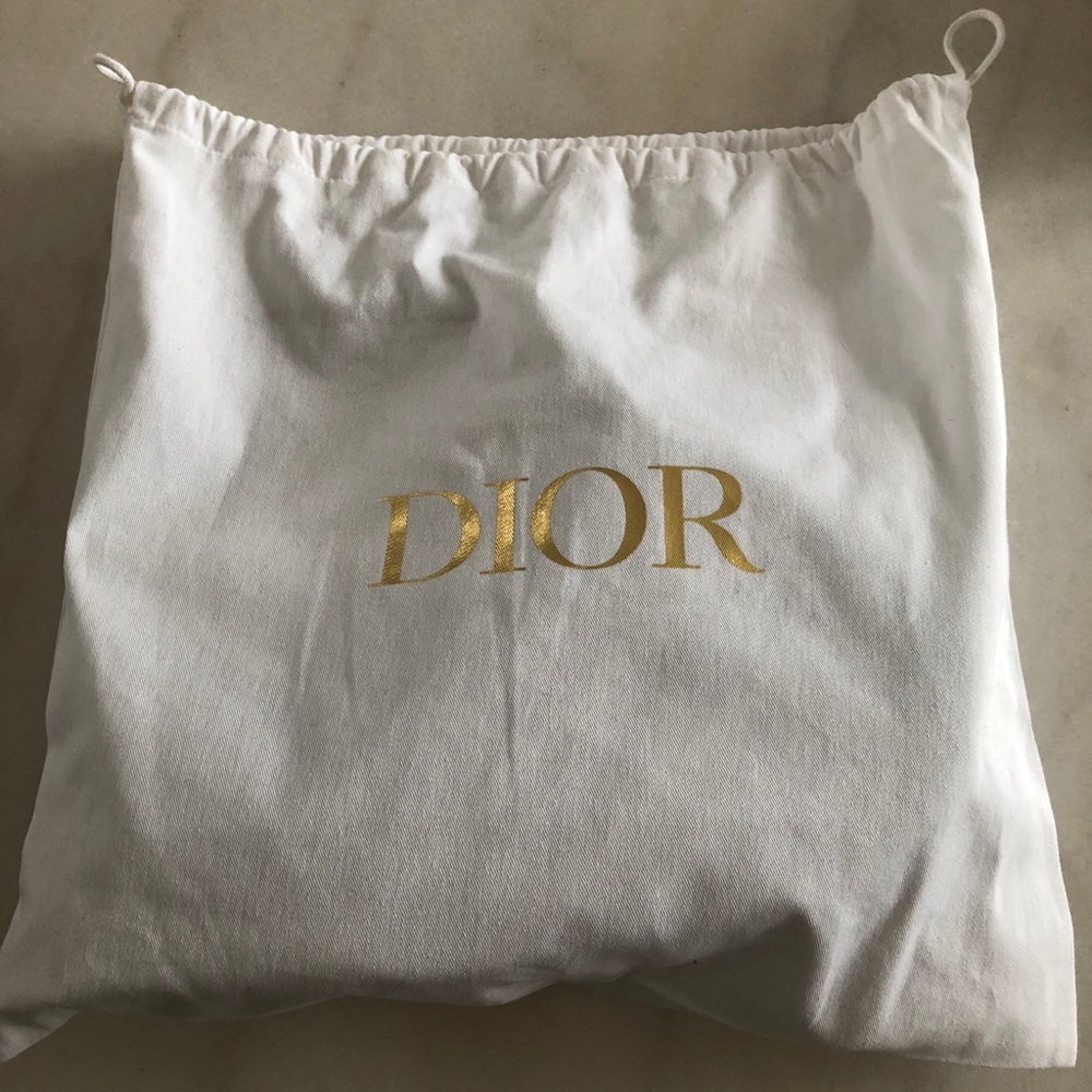 Dior Oblique Embroidered Saddle Bag - Picture 12 of 16